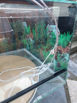 Terárium - želvárium - 11