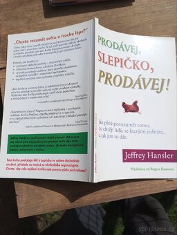 Byznysové knížky -prodám - 11