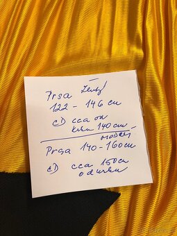 Dospělý Párový kostým na čaroděje ,žlutý a modrý Xxl - 11