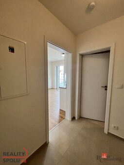 Pronájem, byty/1+kk, 32 m2, Křenová 551/43, 60200 Brno, Brno - 11