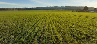 Mzuri secí stroj-strip till (pásové zpracování půdy) - 11