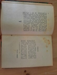 Ze starých Českých Budějovic,  vydáno 1921 - 11
