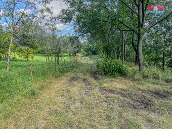 Prodej zahrady, 3500 m², Třebenice - 11