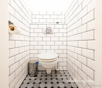 Pronájem bytu 2kk, Opletalova, Nové Město, 42 m2 - 11