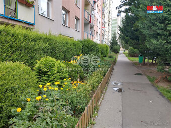 Prodej bytu 1+1, DV, 35 m², Krupka, ul. Karla Čapka - 11