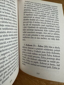 Lunární karty Vykládací karty orákulum - 11