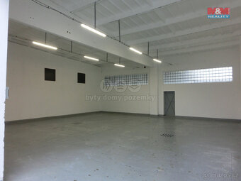 Prodej výrobního objektu, 4001 m², Veselí nad Lužnicí - 11