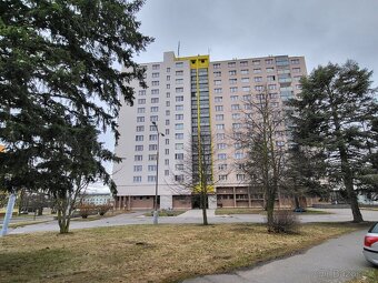 Pronájem bytu 1+KK v Plzni - Bory - 11