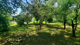 Stavební pozemek 1866,79 m², Orlovice - 11
