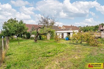 Hrušovany nad Jevišovkou, RD 3+kk, garáž, sklep, zahrada - r - 11