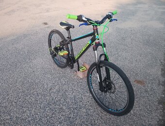 ✅ MTB/DIRT Leader Fox Sport XC, 8x3r, 24" ✅ - 11