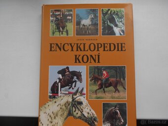 rybáři, zvířectvo, ptactvo, koně - 11