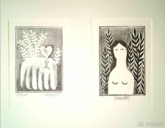 Vladimír Komárek - grafika 1.část - 11