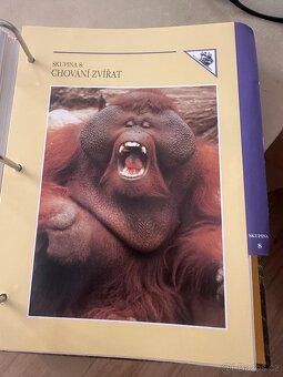 Encyklopedie Zvířat - 11
