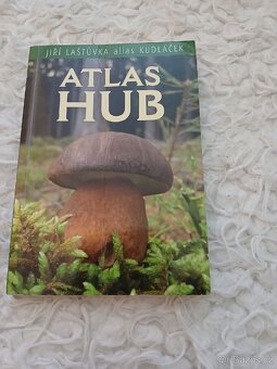 Knihy za 100Kč (Naučné) - 11