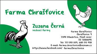 Podej kuřat 15 týdnů - BRAHMANKA ŽLUTÁ  🐓 - 11