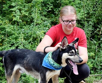 FLOKY K ADOPCI - 1 ROK, HRAVÝ,MILÝ,VHODNÝ K DĚTEM - - 11