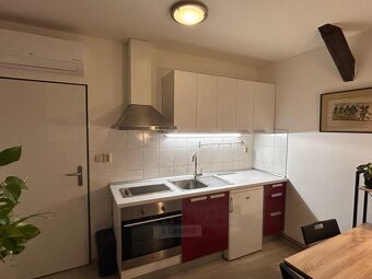 Pronájem bytu 1kk, 22 m2, zahrada, Mánesova ul., České Buděj - 11