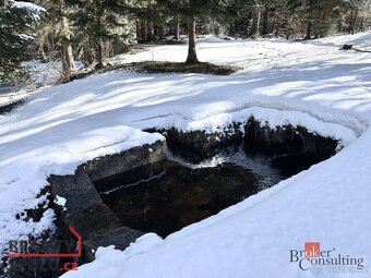 Prodej, pozemky/rybník, 5094 m2, Na Moravě 505, Desná II, 46 - 11