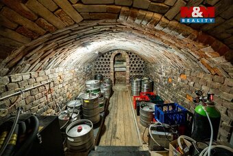 Prodej restaurace, stravování, 165 m², Těmice - 11