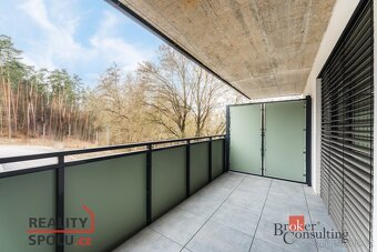 Pronájem, byty/1+kk, 56 m2, Kleštínek 382/16, Jehnice, 62100 - 11