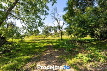 Prodej bývalého statku, 8073m2 - Úsuší u Tišnova - 11