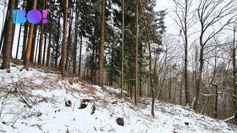 Prodej půdy a lesa, 17 190 m², Liptál - 11