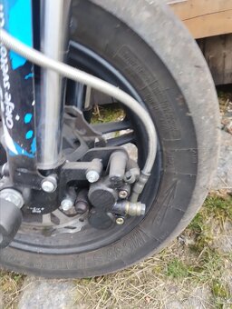 Pitbike WPB Race 155 na okruhy - 11