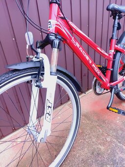 Kolo Leader Fox Maxim - 11