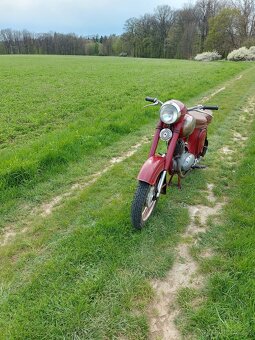 Jawa 175/356 - 11