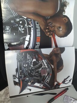 Harley Davidson Softail Custom - 11