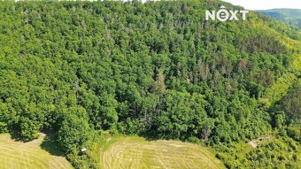 Prodej pozemek Lesy, 3149㎡ - 11