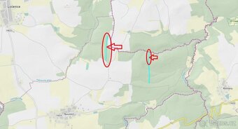 Prodám lesní pozemky v k.ú. Nesměň u Ločenic - 11