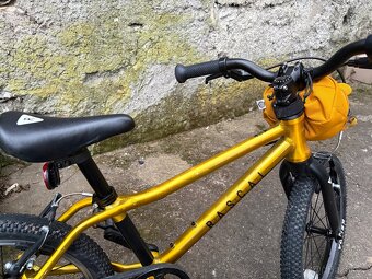 Kolo Rascal 16 Zlaté - 11