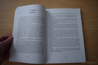 Podivuhodná dobrodružství Jonatana Gullibla - 11