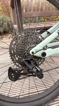 Specialized Status 160 - 11