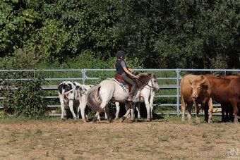 Pony 128 cm - 11