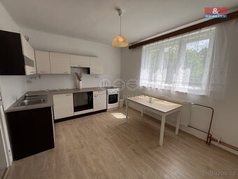 Pronájem bytu 2+kk, 70 m², Návsí - 11