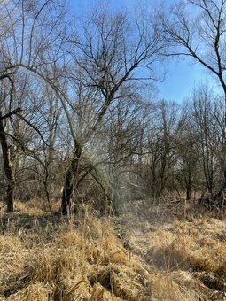 Prodám pozemky v k.ú. Starý Ples - 11