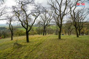 Prodej ovocného sadu, 1397 m², Kostelec u Holešova - 11