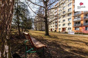 Prodej bytu 1+kk 20 m2 Popelnicová, Plzeň - 11
