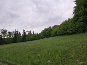 5 hektarů orná půda, pole, louky,  -  Kunštát - 11