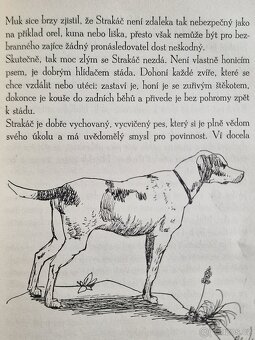 Kniha Ze života sněžného zajíce - 11