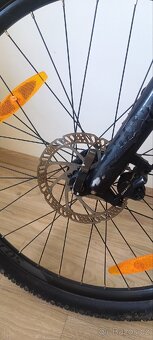 Kolo Scott Roxter disk 26 M - 11
