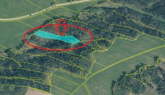 Prodám lesní pozemek v k.ú. Štiptoň - 11