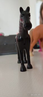 🐴  koníci + box + přístřešek - 11