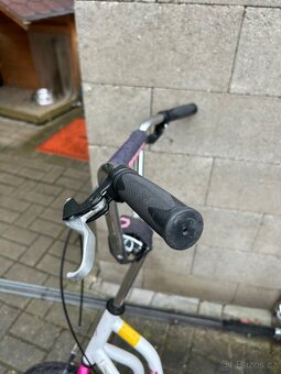 Kolo Author ASL Kinetic 24 - 11