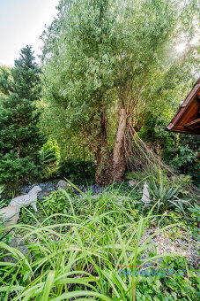 Prodej, byt 1+1, 37 m, Nádražní 233, Klimkovice, Česko - 11