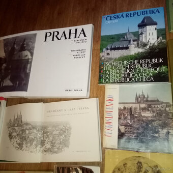 PRODÁM RŮZNÉ STARÉ KNIHY - UMĚNÍ HISTORIE, MÍSTOPIS AJ. - 11