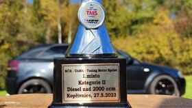 AUDI A3 2.0 TDI P8 - 11